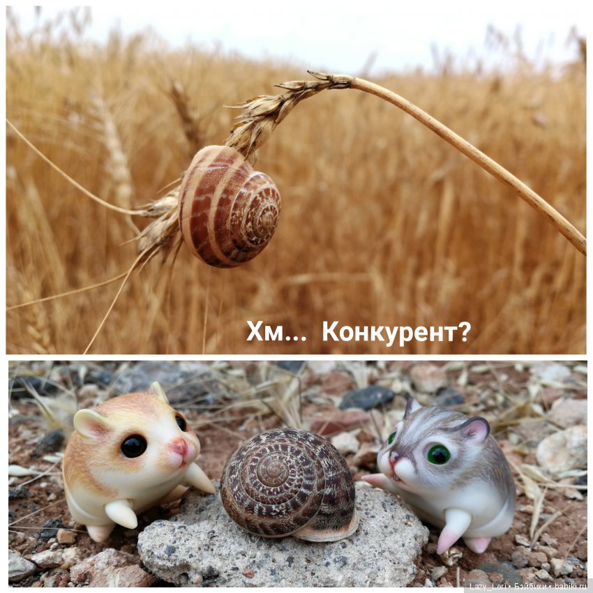 Хомки - путешественники — Фотоистории с куклами BJD (БЖД): сериалы (фото 4)