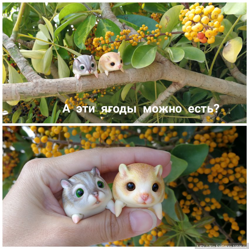 Хомки - путешественники — Фотоистории с куклами BJD (БЖД): сериалы (фото 9)