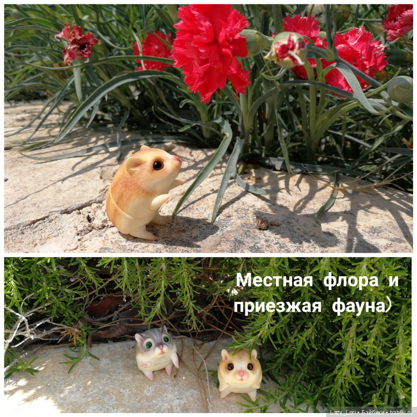 Хомки - путешественники — Фотоистории с куклами BJD (БЖД): сериалы (фото 8)