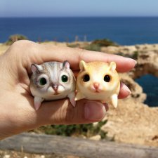 Хомки - путешественники