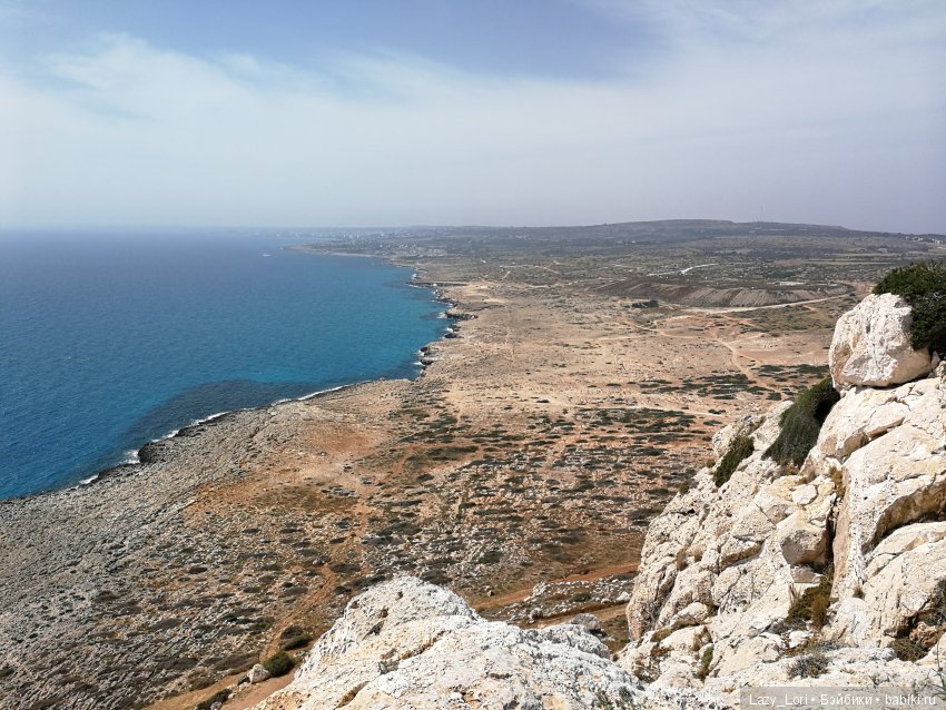 Хомячьи мини истории: пустыня (фото 9)