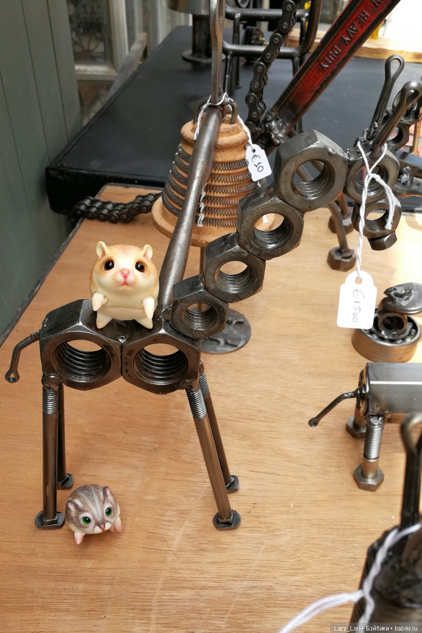 Хомячьи мини истории: в поисках железного коня (фото 6)