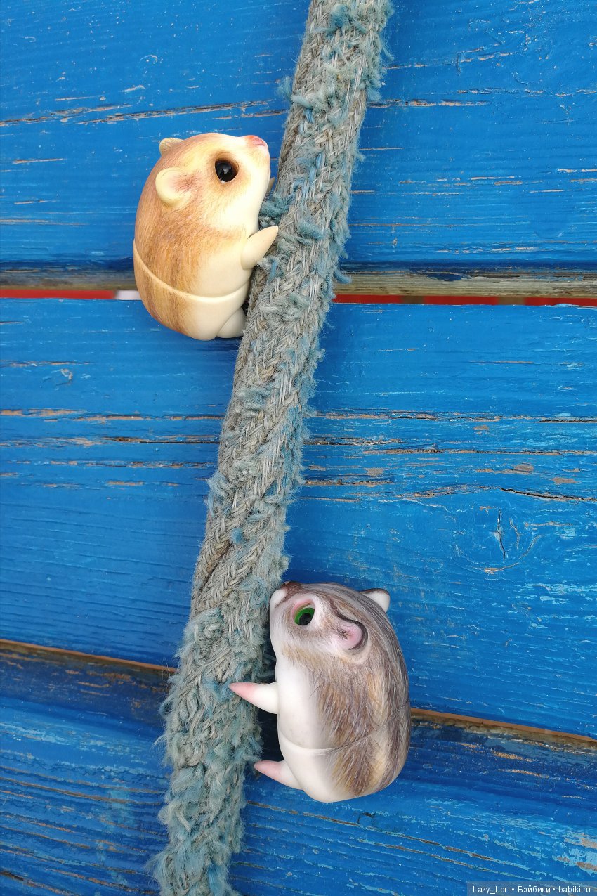 Хомячьи мини истории: покорители вершин (фото 4)