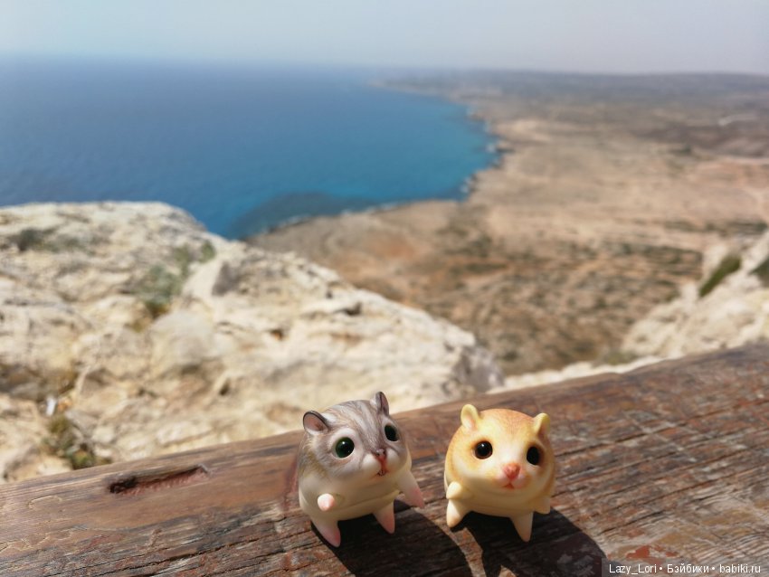 Хомячьи мини истории: пустыня (фото 8)