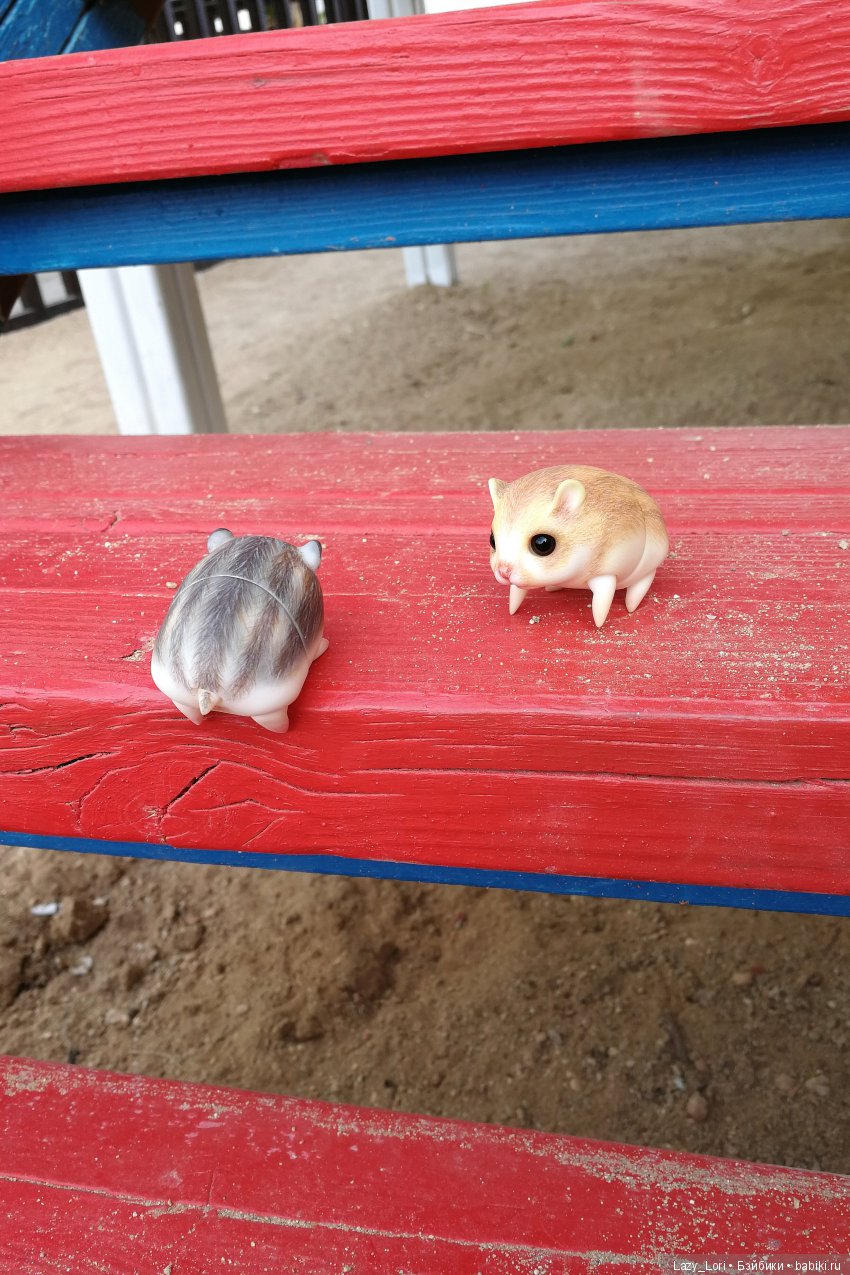 Хомячьи мини истории: покорители вершин (фото 3)