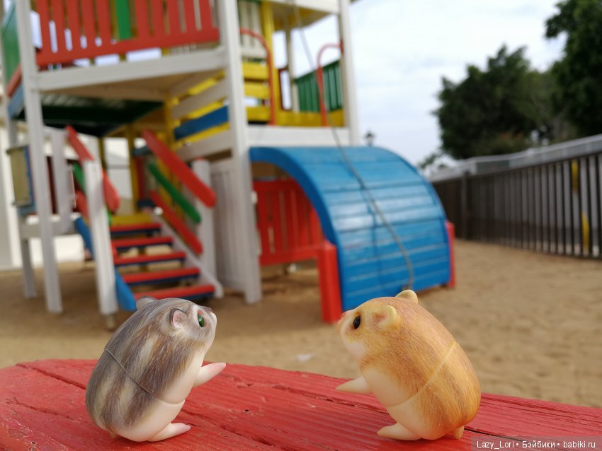 Хомячьи мини истории: покорители вершин (фото 2)