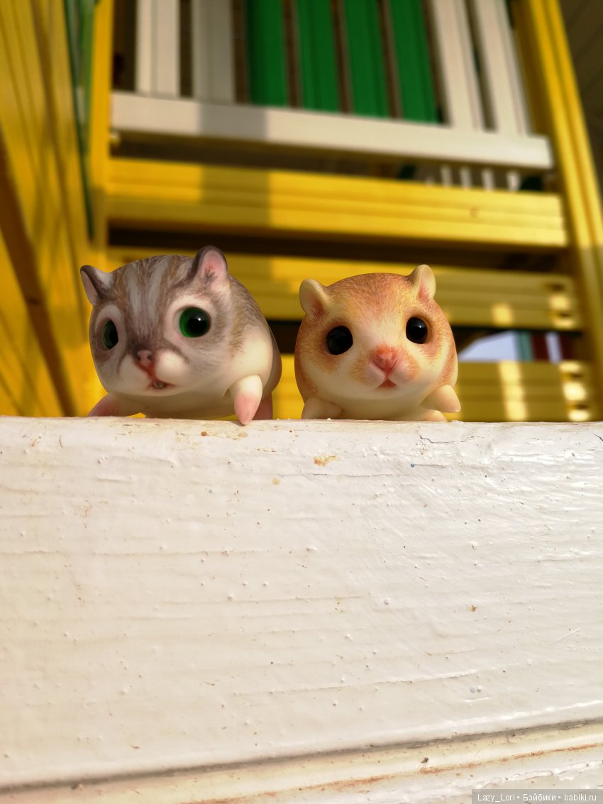 Хомячьи мини истории: покорители вершин (фото 5)