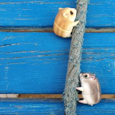 Хомячьи мини истории: покорители вершин