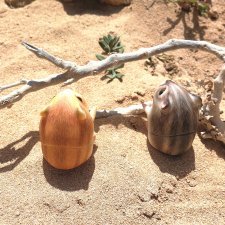 Хомячьи мини истории: пустыня