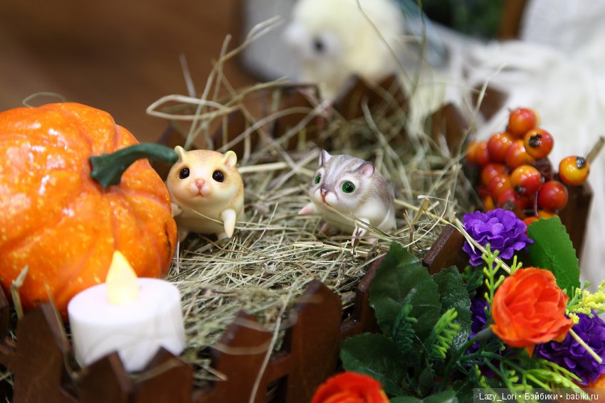 Эта нелёгкая светская жизнь или как хомки на Dollscar ходили