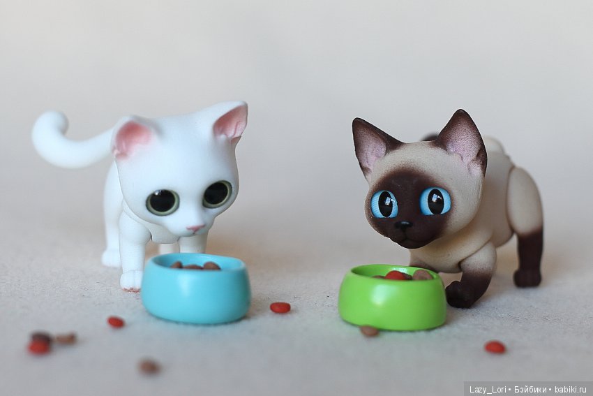 Котики, котики — Фотоистории с куклами BJD (БЖД): сериалы