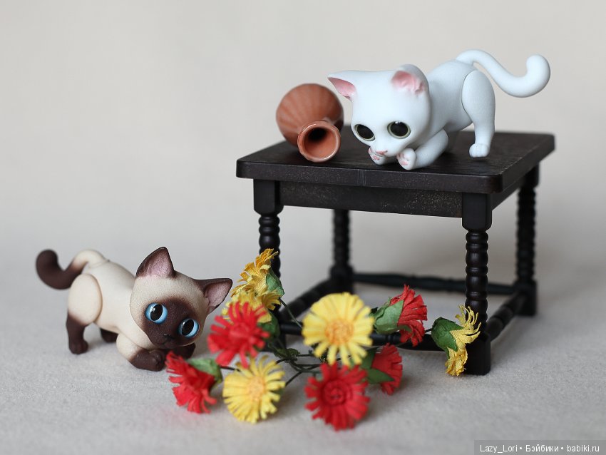 Котики, котики — Фотоистории с куклами BJD (БЖД): сериалы (фото 6)