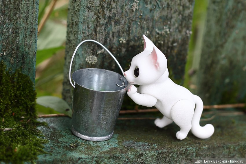 Новый приятель Сени — Фотоистории с куклами BJD (БЖД): сериалы (фото 6)