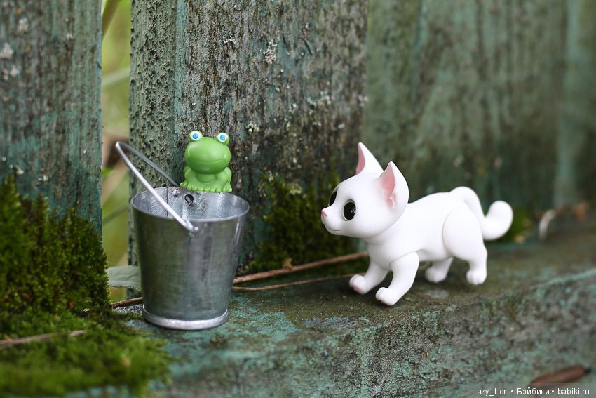 Новый приятель Сени — Фотоистории с куклами BJD (БЖД): сериалы (фото 5)