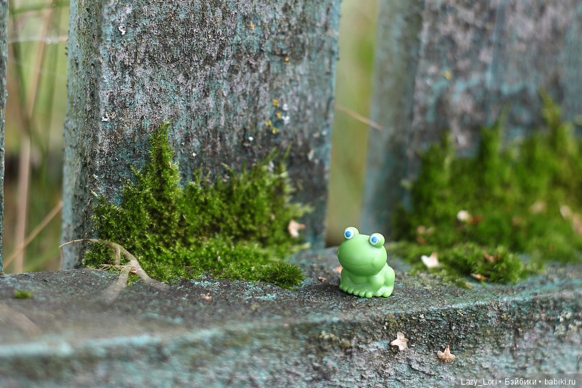 Новый приятель Сени — Фотоистории с куклами BJD (БЖД): сериалы