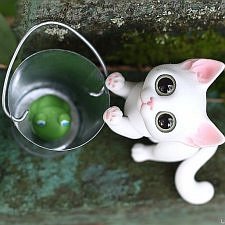 Новый приятель Сени