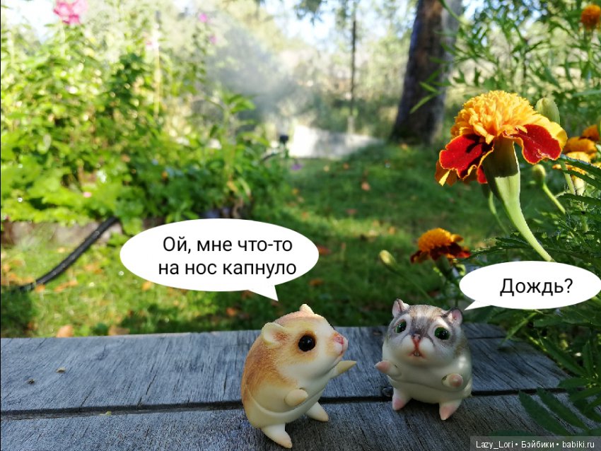 Хомки. Последние выходные лета (фото 5)