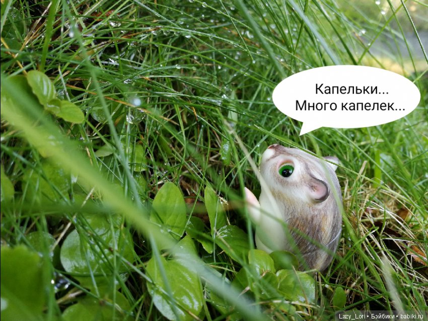 Хомки. Последние выходные лета (фото 9)