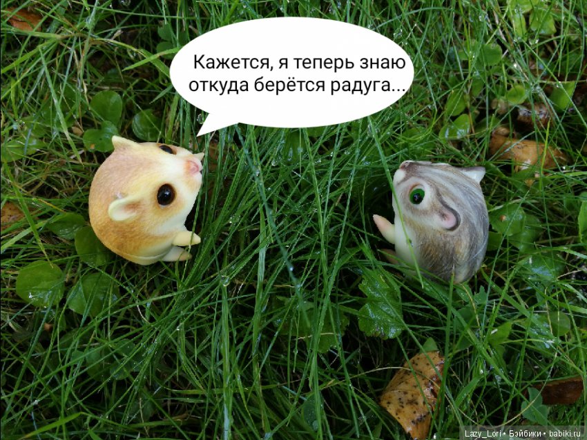 Хомки. Последние выходные лета