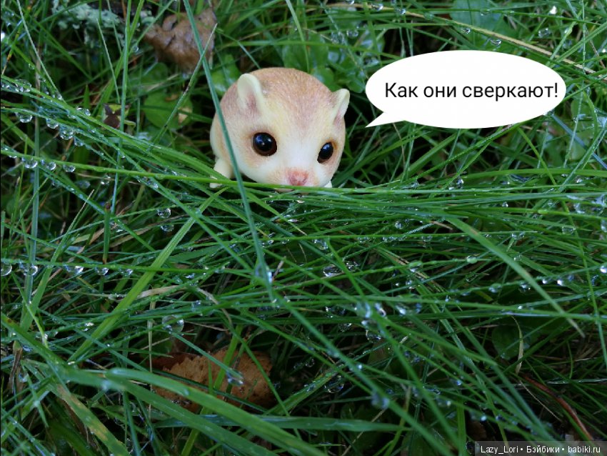 Хомки. Последние выходные лета (фото 10)