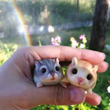 Хомки. Последние выходные лета