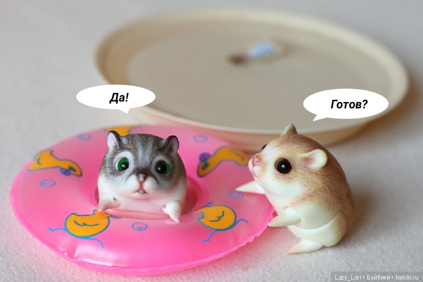 Невероятное приключение хомок. Начало