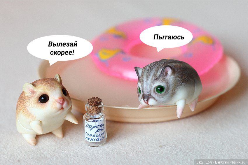 Невероятное приключение хомок. Начало