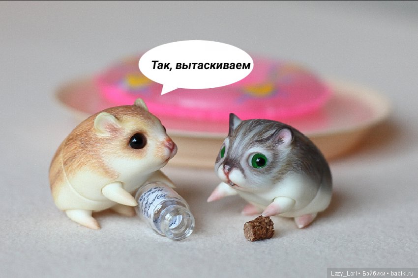 Невероятное приключение хомок. Начало