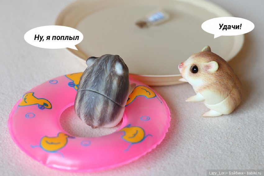 Невероятное приключение хомок. Начало