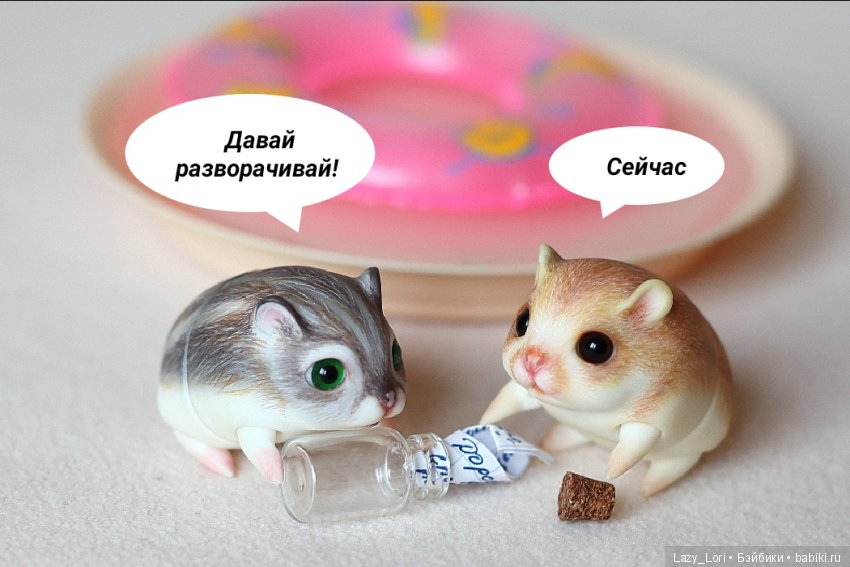 Невероятное приключение хомок. Начало