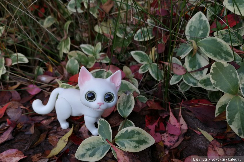 Сенины выходные — Разные куклы BJD (БЖД): редкие бренды (фото 3)