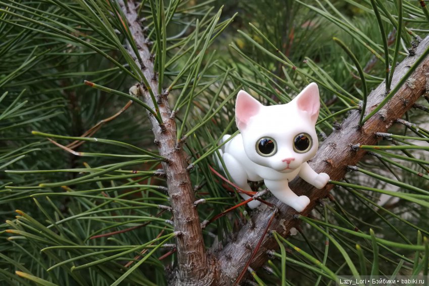 Сенины выходные — Разные куклы BJD (БЖД): редкие бренды