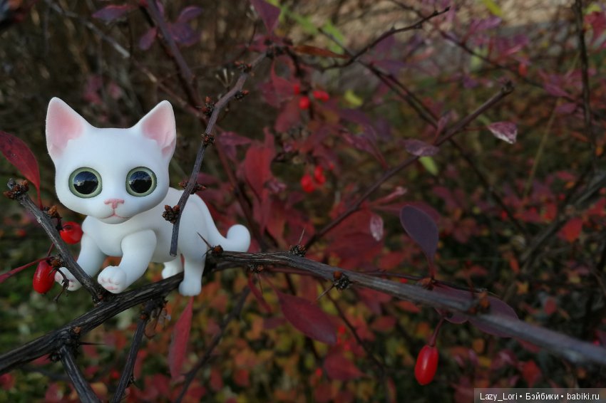 Сенины выходные — Разные куклы BJD (БЖД): редкие бренды (фото 6)