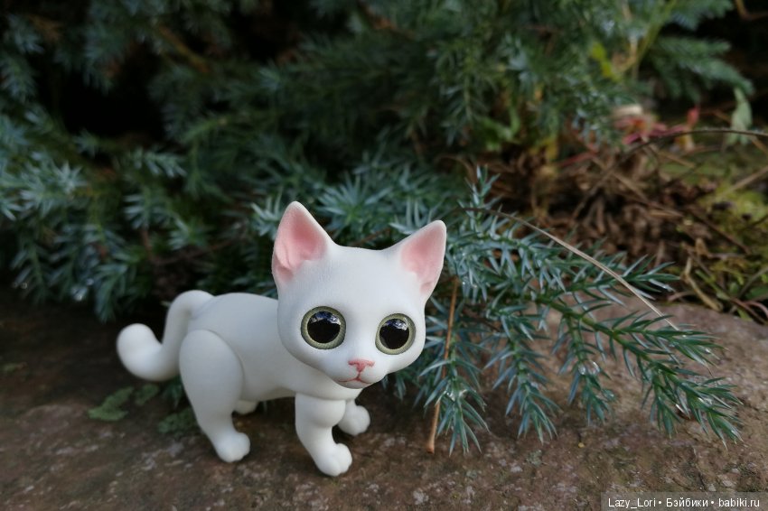 Сенины выходные — Разные куклы BJD (БЖД): редкие бренды