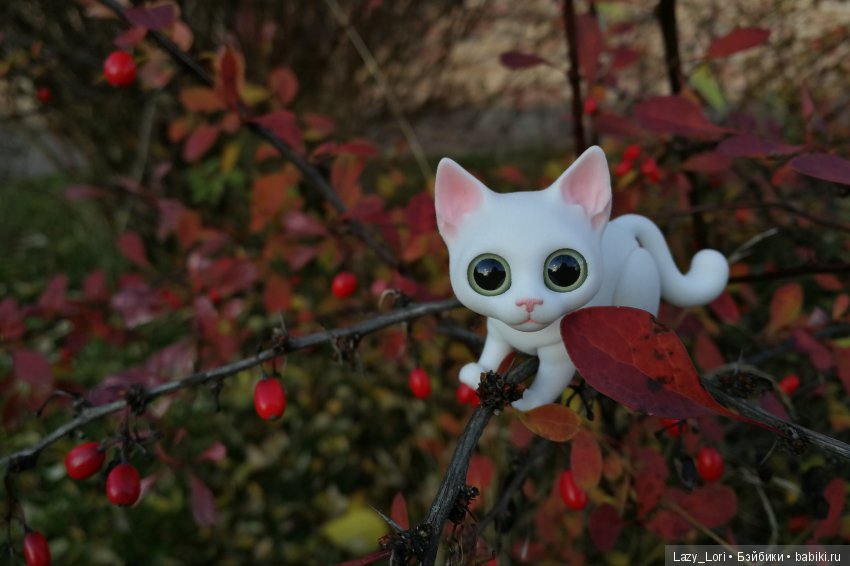 Сенины выходные — Разные куклы BJD (БЖД): редкие бренды (фото 5)