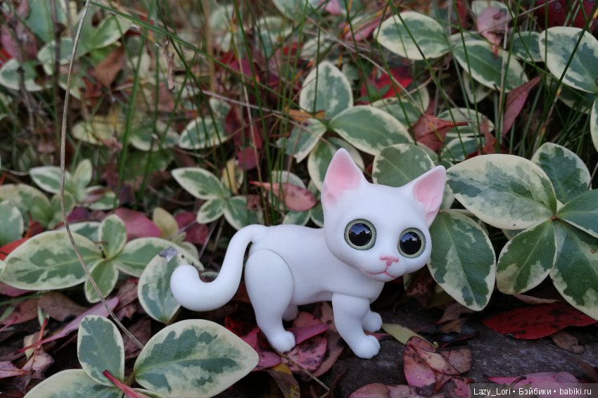 Сенины выходные — Разные куклы BJD (БЖД): редкие бренды (фото 4)