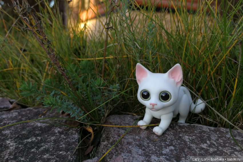 Сенины выходные — Разные куклы BJD (БЖД): редкие бренды (фото 7)