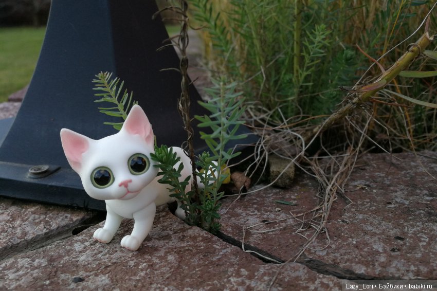 Сенины выходные — Разные куклы BJD (БЖД): редкие бренды (фото 10)