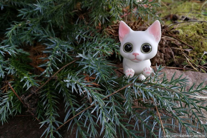 Сенины выходные — Разные куклы BJD (БЖД): редкие бренды