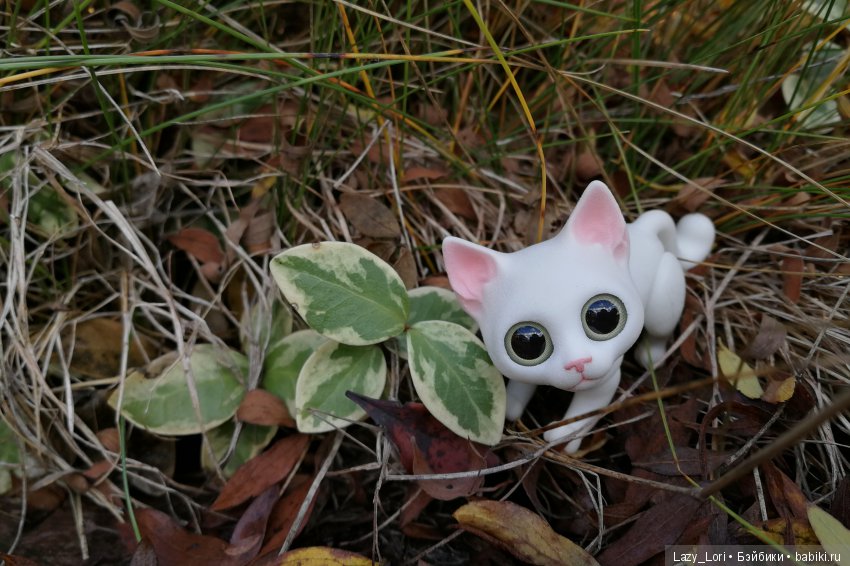 Сенины выходные — Разные куклы BJD (БЖД): редкие бренды