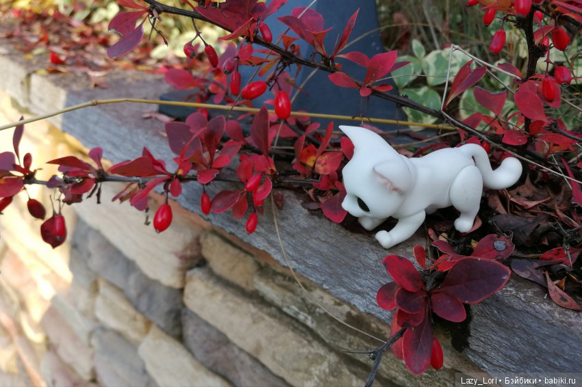 Сенины выходные — Разные куклы BJD (БЖД): редкие бренды