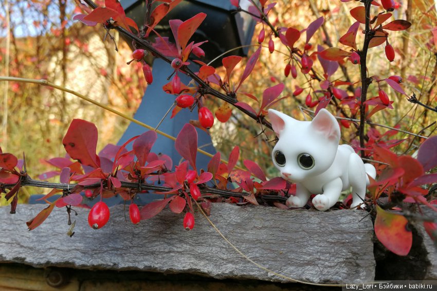 Сенины выходные — Разные куклы BJD (БЖД): редкие бренды