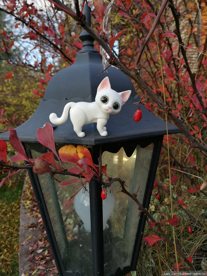 Сенины выходные — Разные куклы BJD (БЖД): редкие бренды