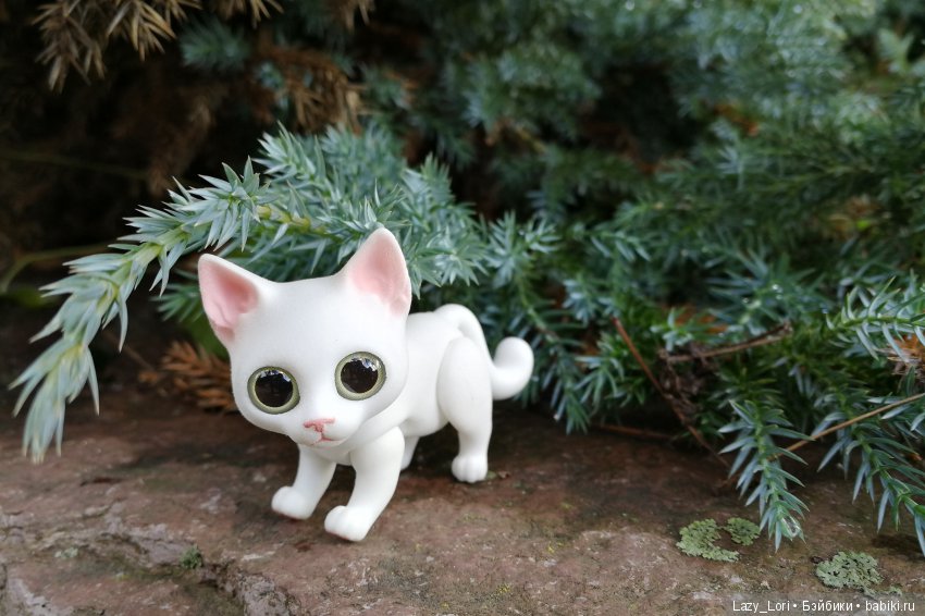 Сенины выходные — Разные куклы BJD (БЖД): редкие бренды