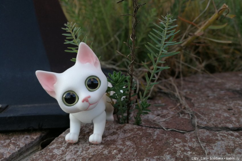 Сенины выходные — Разные куклы BJD (БЖД): редкие бренды (фото 9)