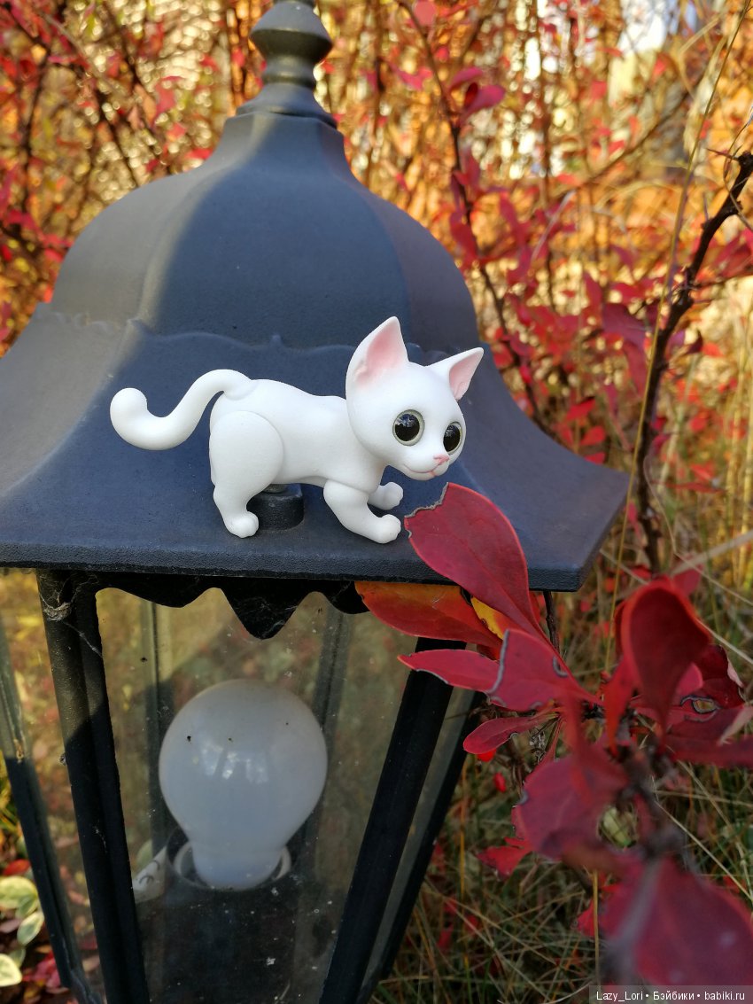 Сенины выходные — Разные куклы BJD (БЖД): редкие бренды