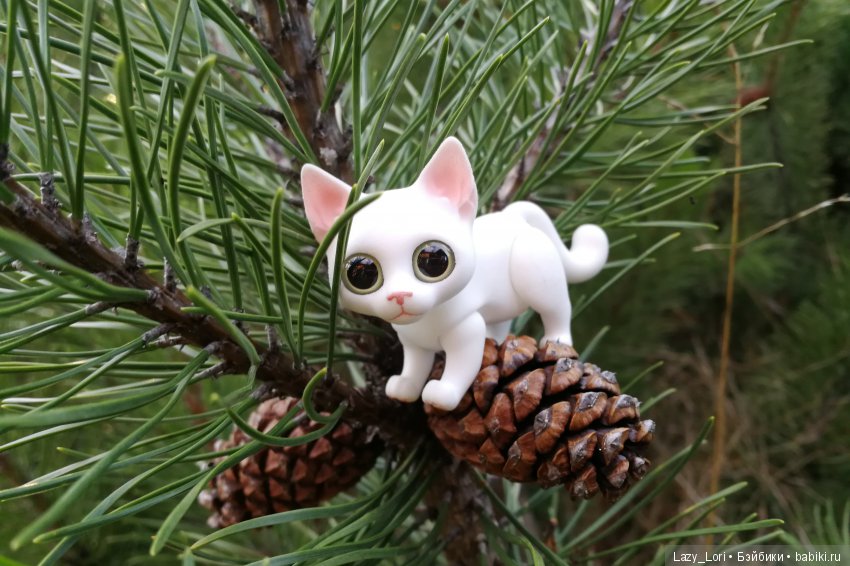 Сенины выходные — Разные куклы BJD (БЖД): редкие бренды