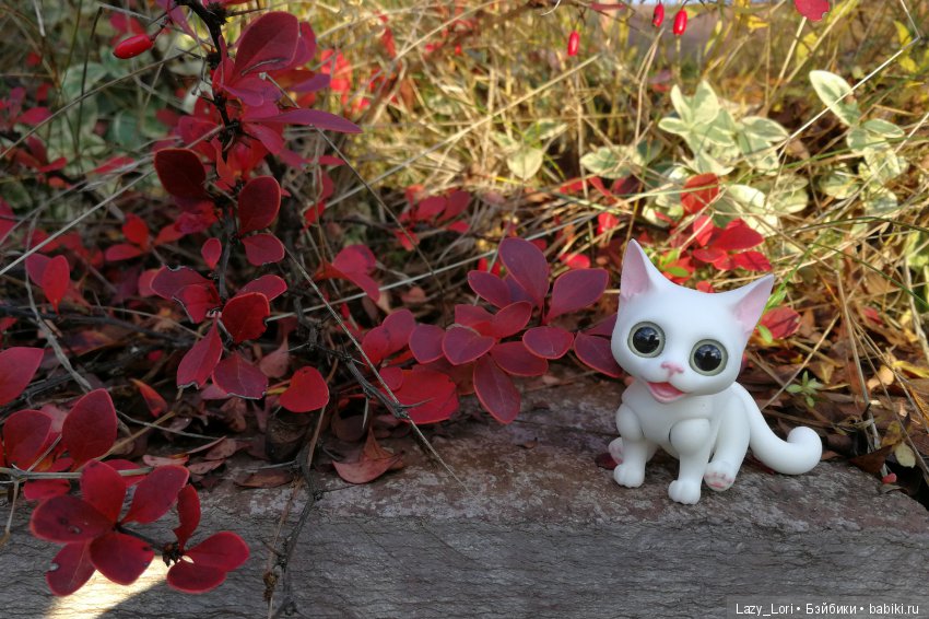 Сенины выходные — Разные куклы BJD (БЖД): редкие бренды