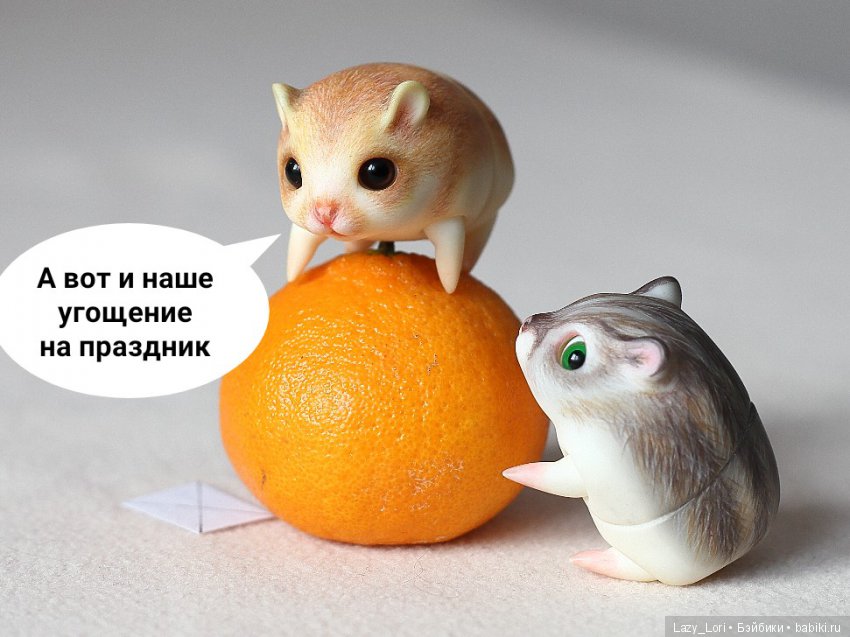 Невероятное приключение хомок. Продолжение