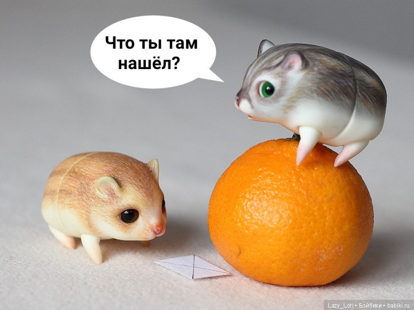 Невероятное приключение хомок. Продолжение